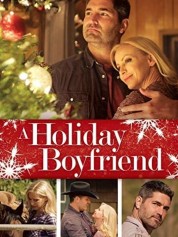 Watch free A Holiday Boyfriend HD online