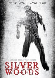 Watch free Silver Woods HD online