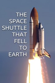 Watch free The Space Shuttle That Fell to Earth HD online