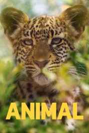 Watch free Animal HD online