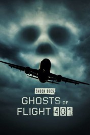 Watch free Ghosts of Flight 401 HD online