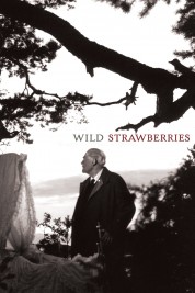 Watch free Wild Strawberries HD online