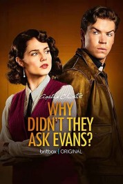 Watch free Why Didn't They Ask Evans? HD online