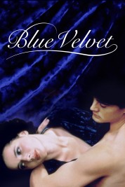 Watch free Blue Velvet HD online