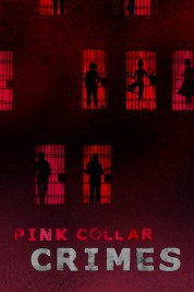 Watch free Pink Collar Crimes HD online