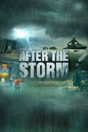 Watch free After the Storm HD online