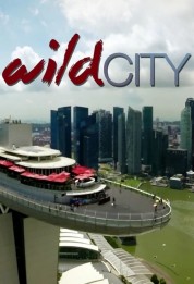 Watch free Wild City HD online