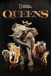 Watch free Queens HD online