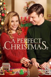 Watch free A Perfect Christmas HD online