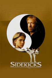 Watch free Sidekicks HD online