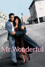 Watch free Mr. Wonderful HD online