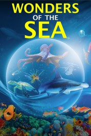Watch free Wonders of the Sea 3D HD online