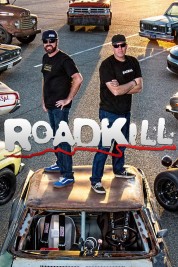 Watch free Roadkill HD online