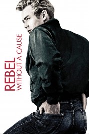 Watch free Rebel Without a Cause HD online