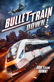 Watch free Bullet Train Down HD online