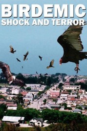 Watch free Birdemic: Shock and Terror HD online