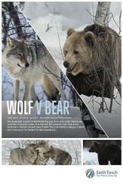 Watch free Wolf vs Bear HD online