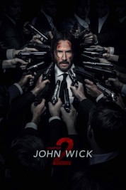 Watch free John Wick: Chapter 2 HD online