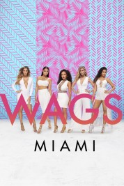 Watch free WAGS Miami HD online