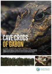 Watch free Cave Crocs of Gabon HD online