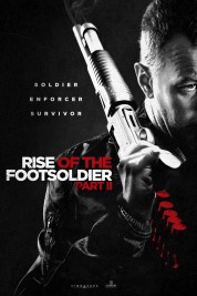 Watch free Rise of the Footsoldier Part II HD online