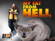 Watch free My Cat from Hell HD online