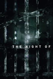 Watch free The Night Of HD online