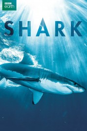 Watch free Shark HD online