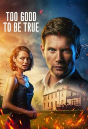 Watch free Too Good To Be True HD online