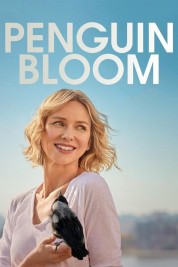 Watch free Penguin Bloom HD online