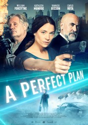 Watch free A Perfect Plan HD online