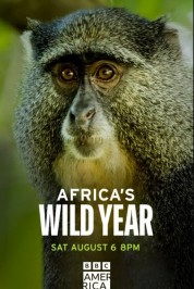 Watch free Africa's Wild Year HD online