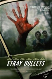 Watch free Stray Bullets HD online