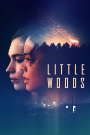 Watch free Little Woods HD online