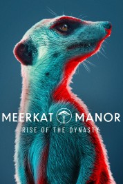 Watch free Meerkat Manor: Rise of the Dynasty HD online