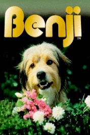 Watch free Benji HD online