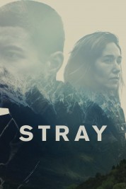 Watch free Stray HD online