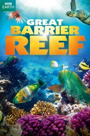 Watch free Great Barrier Reef HD online