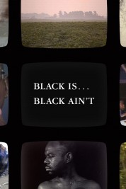 Watch free Black Is … Black Ain’t HD online