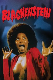 Watch free Blackenstein HD online