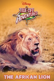 Watch free The African Lion HD online