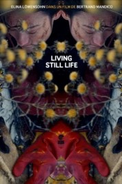 Watch free Living Still Life HD online