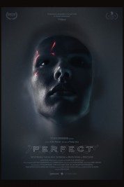 Watch free Perfect HD online