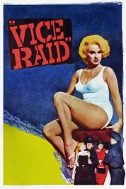 Watch free Vice Raid HD online