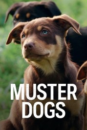 Watch free Muster Dogs HD online