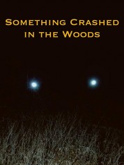 Watch free Something Crashed in the Woods HD online