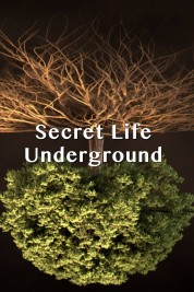 Watch free Secret Life Underground HD online