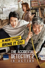 Watch free The Accidental Detective 2: In Action HD online