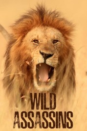 Watch free Wild Assassins HD online