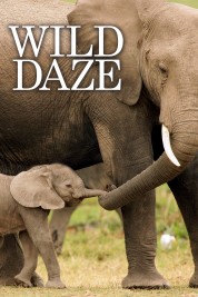 Watch free Wild Daze HD online